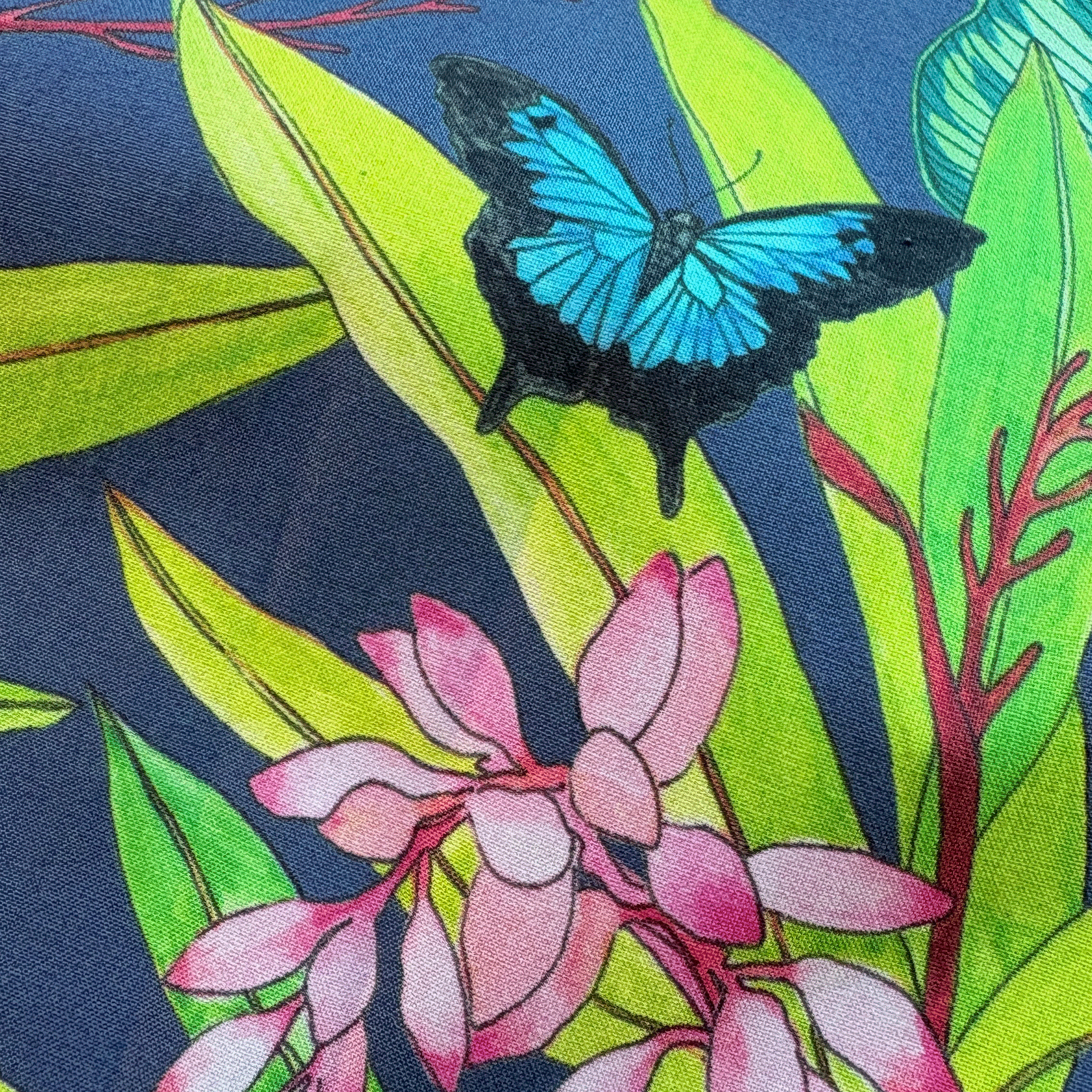 Butterfly-Garden-closeup2.png