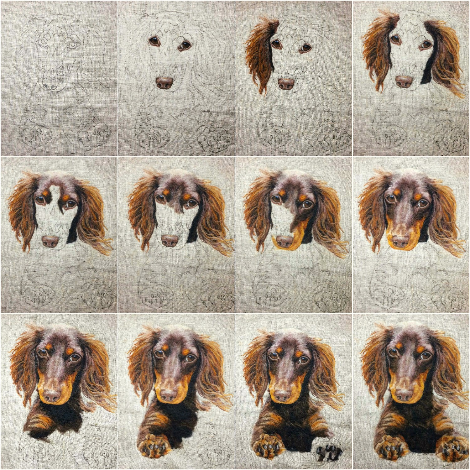 doxie progression collage.jpg