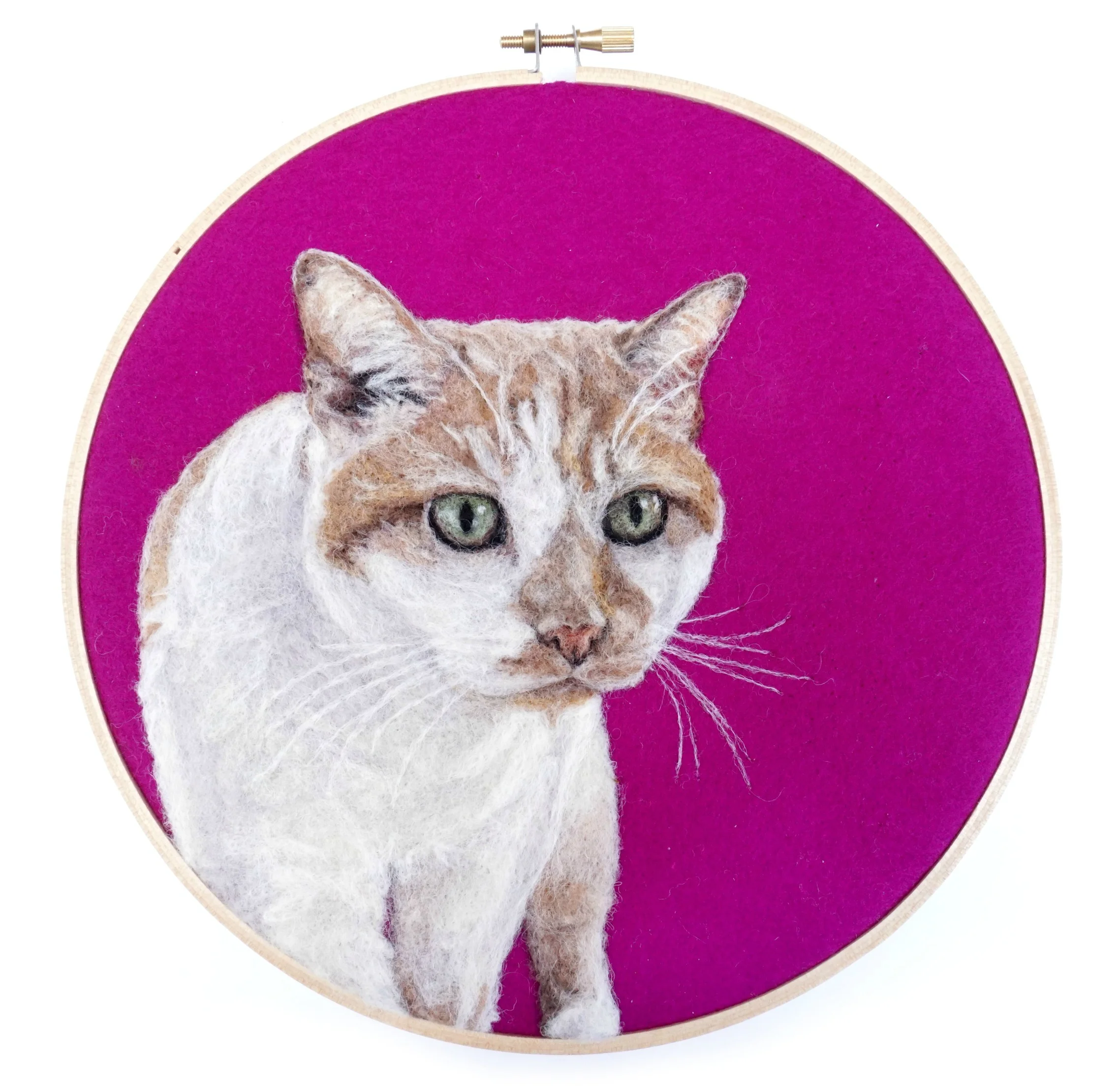 Dani Ives _Kitty Portrait.jpg