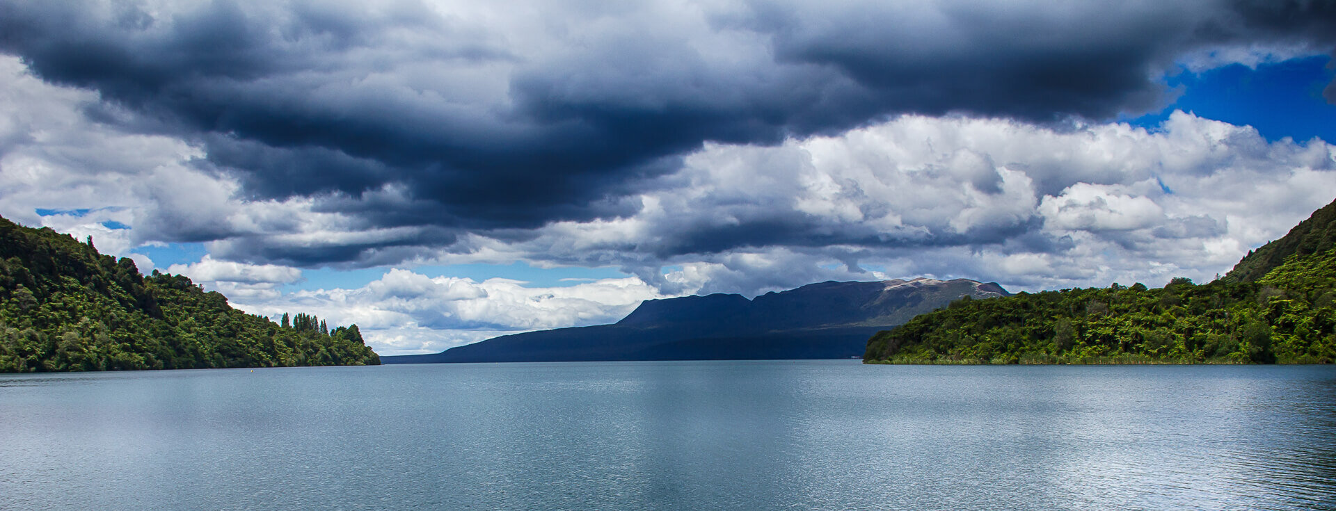 8 Tips for Resilience for Small Business Owners : A Māori Approach