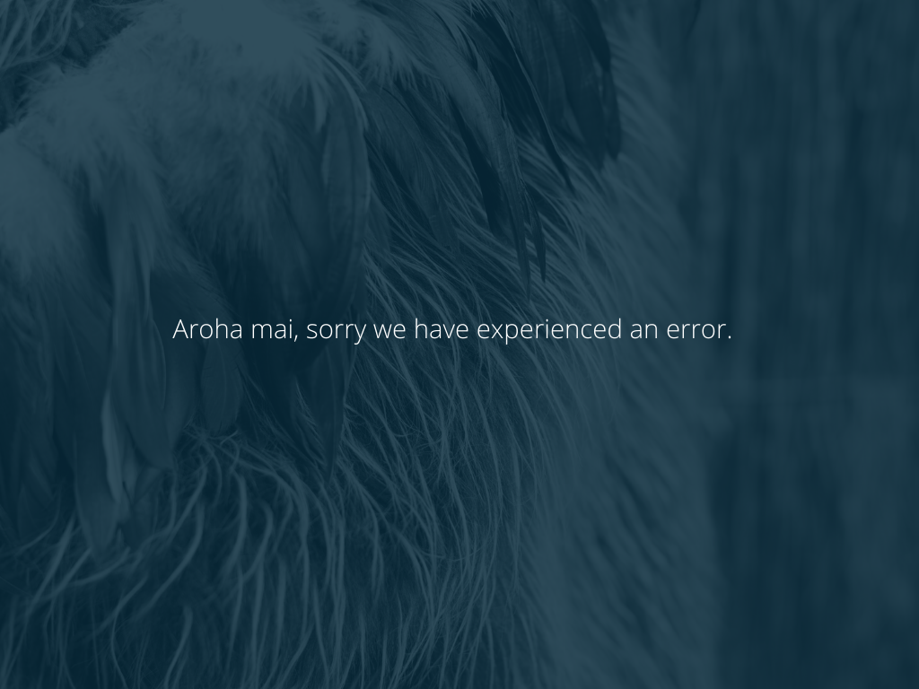 404 Error Page Website (1).png