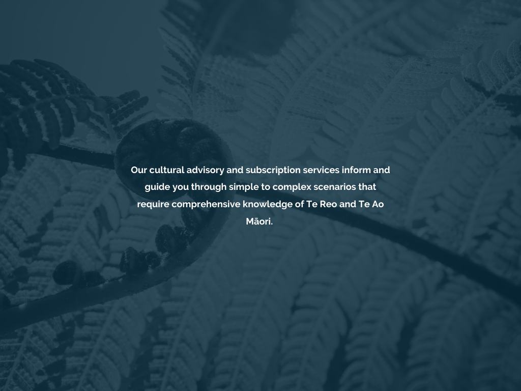 What we do heading Banner (1).png