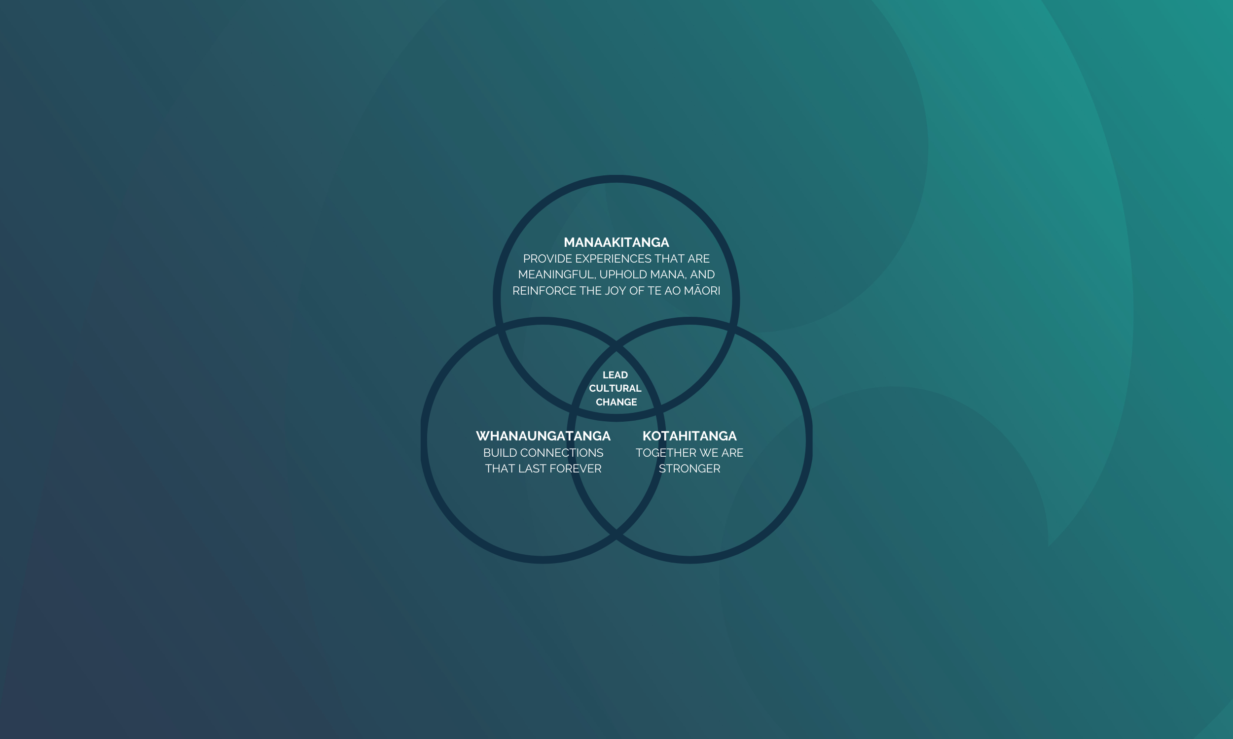 Website Banner - Values.png