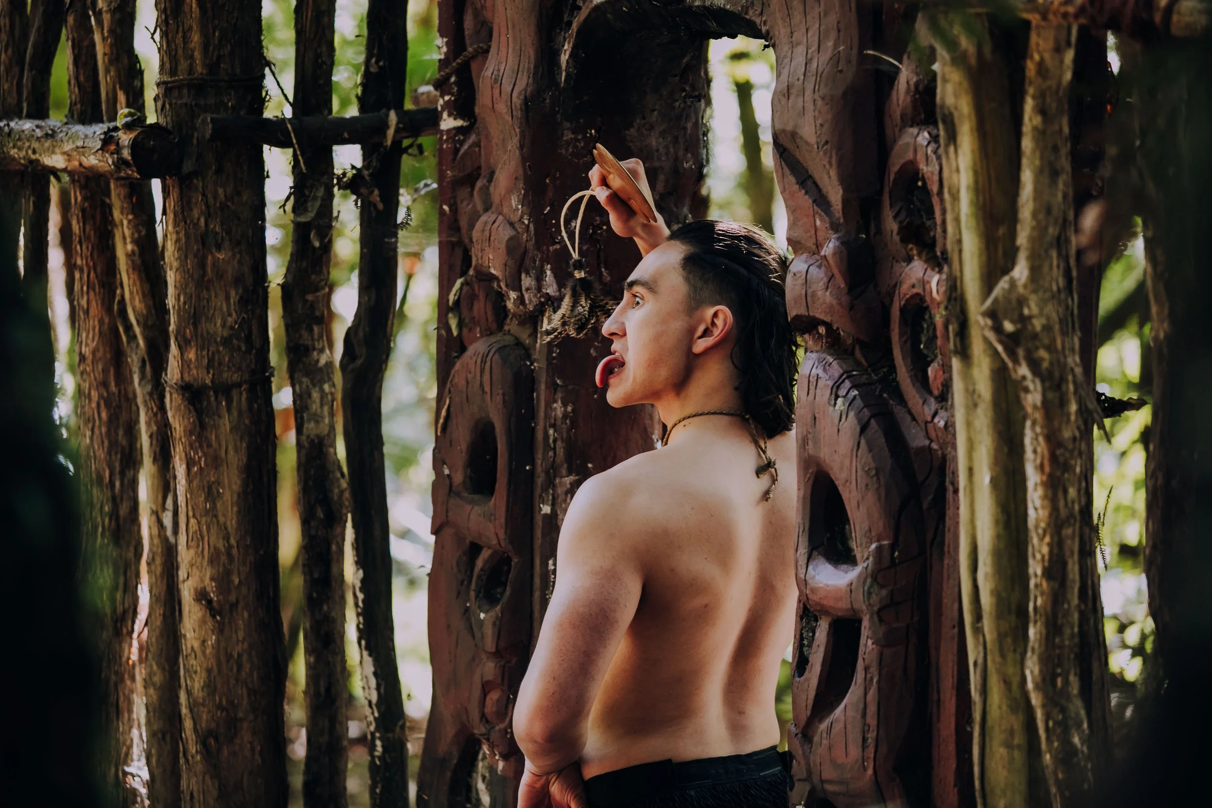 The Skills of Whaikōrero
