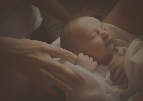 HappyBeginnings_Services.png