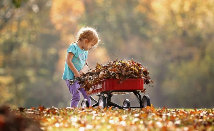 Fall In-gathering - Let's Fill the Wagon
