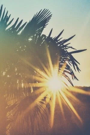 Celebrating Palm Sunday 
