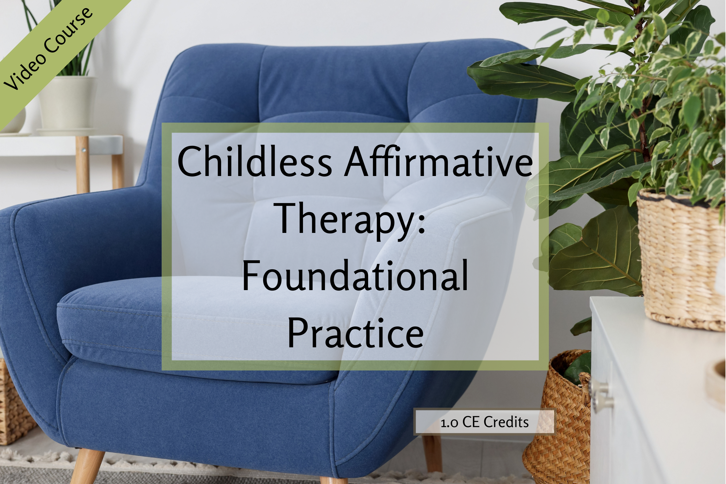 Self-paced online CE training for licensed therapists and social workers on childless affirmative therapy, NBCC approved, available nationwide
