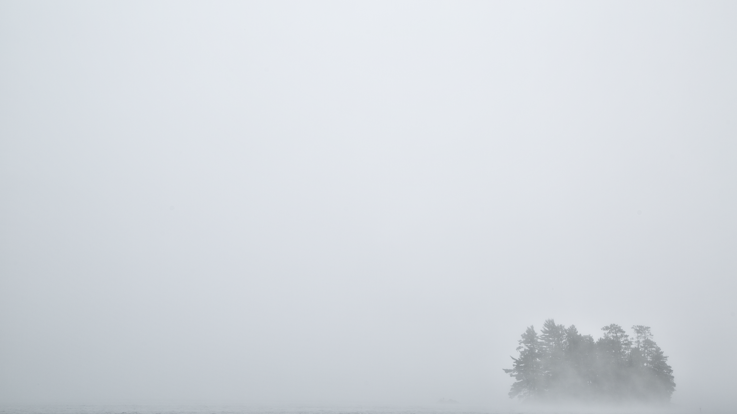 _MG_0812.png