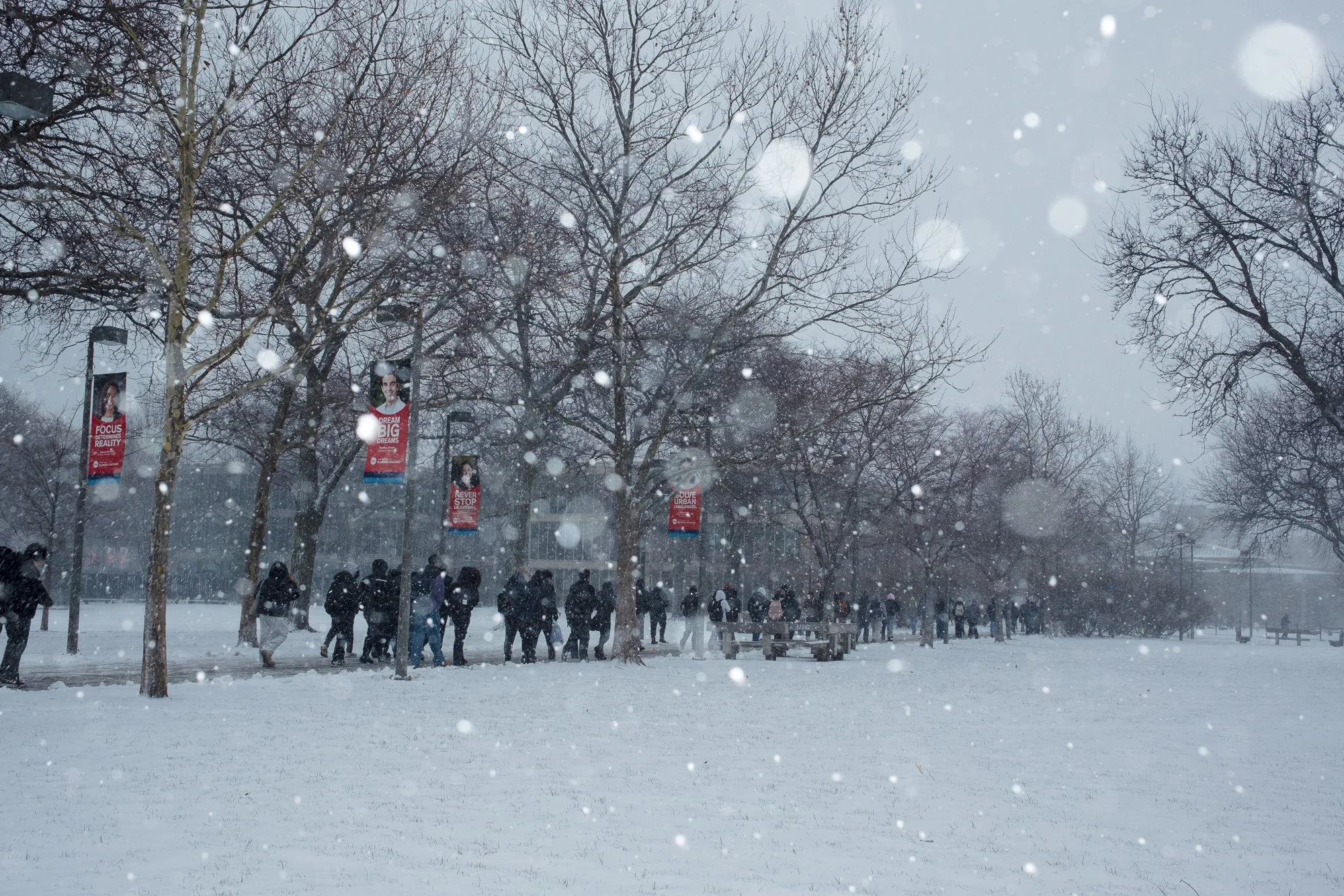 UIC_Martin Hernandez_Portfolio_31.jpg