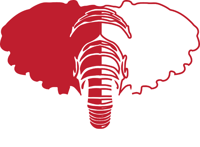 Red Mammoth Media