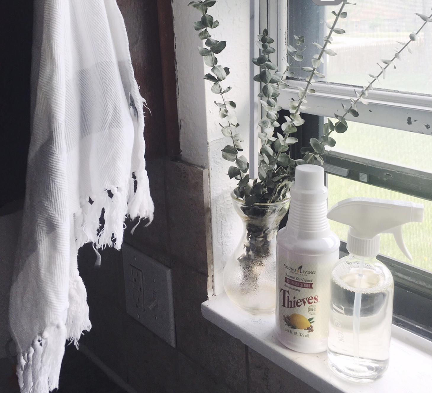 Thieves Household Cleaner | is it really what it's claimed to be?