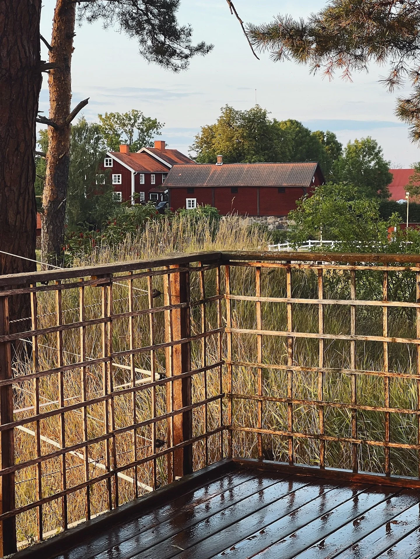 N&auml;r man har slut p&aring; sommarlovsaktiviteter - d&aring; blir det kv&auml;llsprojekt: r&ouml;ja upp p&aring; baksidan av gamla f&ouml;rr&aring;dsbyggnaden, som inte r&ouml;rts p&aring; m&aring;nga &aring;r innan vi flyttade hit 😆 Still a work