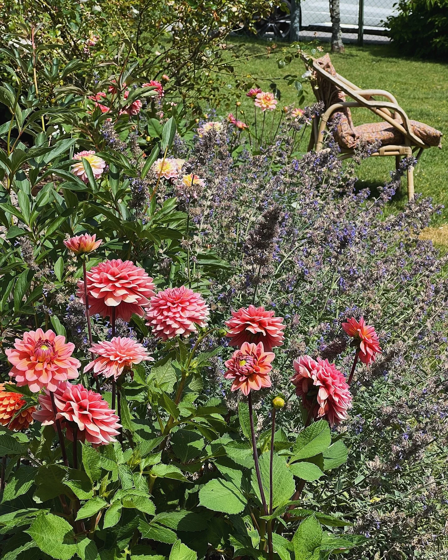 Tr&auml;dg&aring;rdsinspo hos min fina v&auml;n! 🌺🥺 @klarakindahl