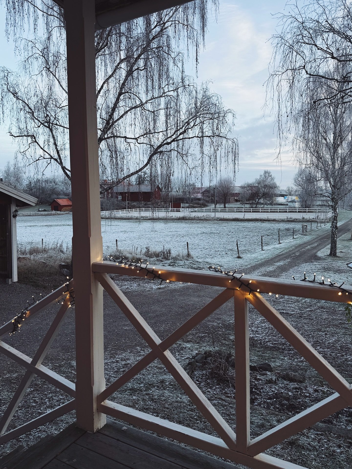 F&ouml;rsta frosten hemma och sen kom sn&ouml;n - som sen t&ouml;ade bort lika snabbt. Nu h&aring;ller vi tummarna f&ouml;r sn&ouml; till lucia! ❄️☃️