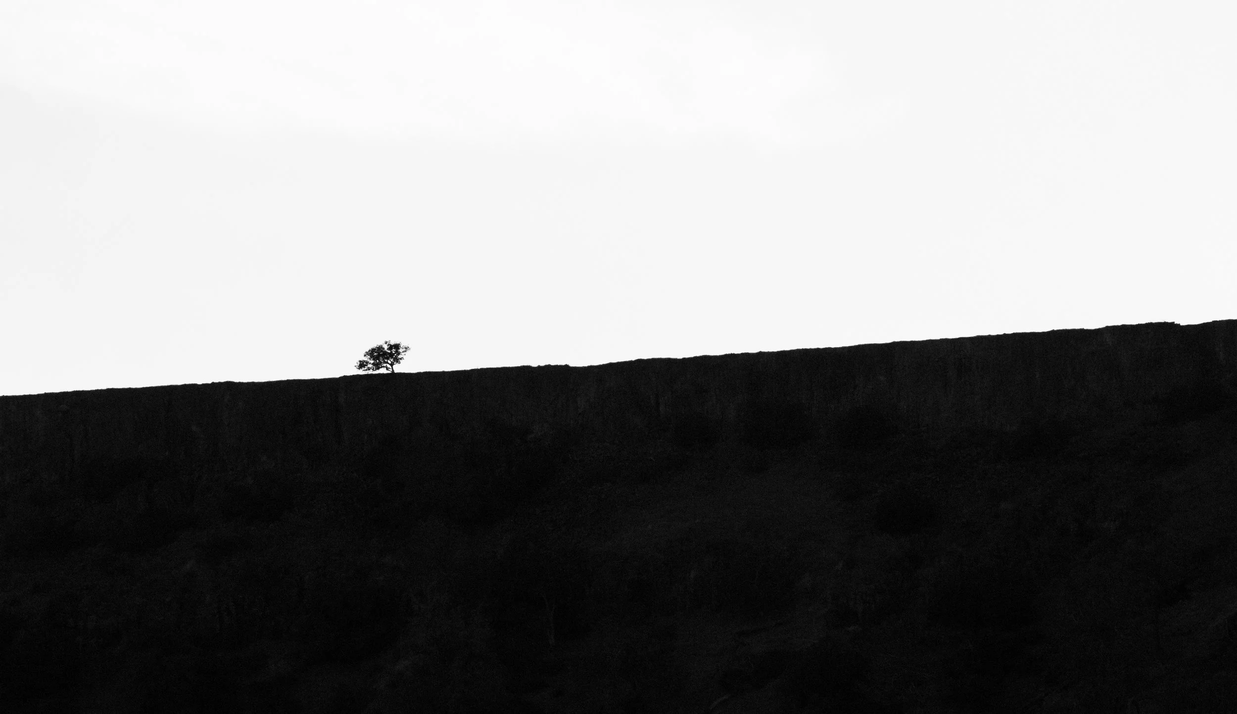 DSC_8580.jpg