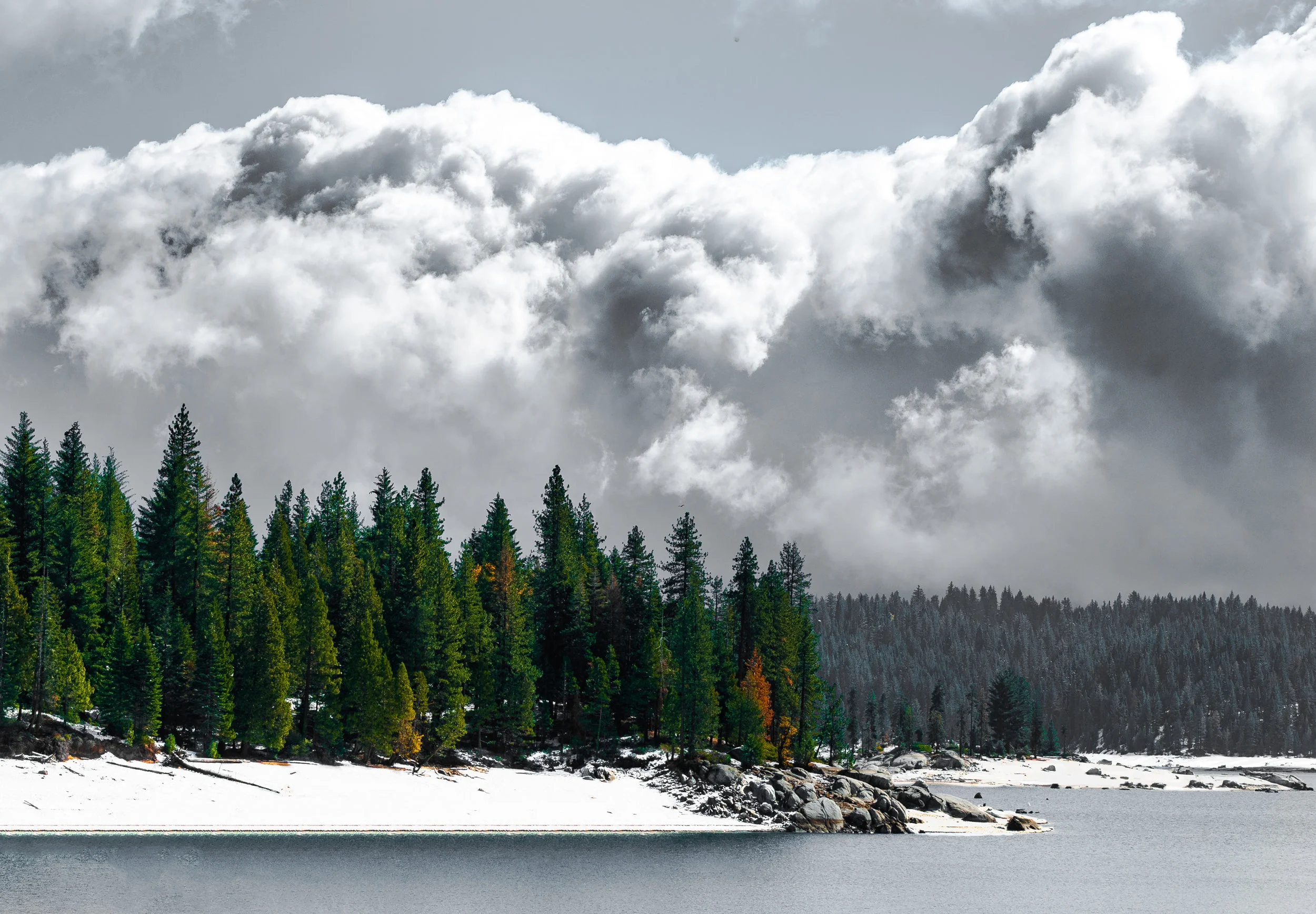DSC_2469-Edit.jpg