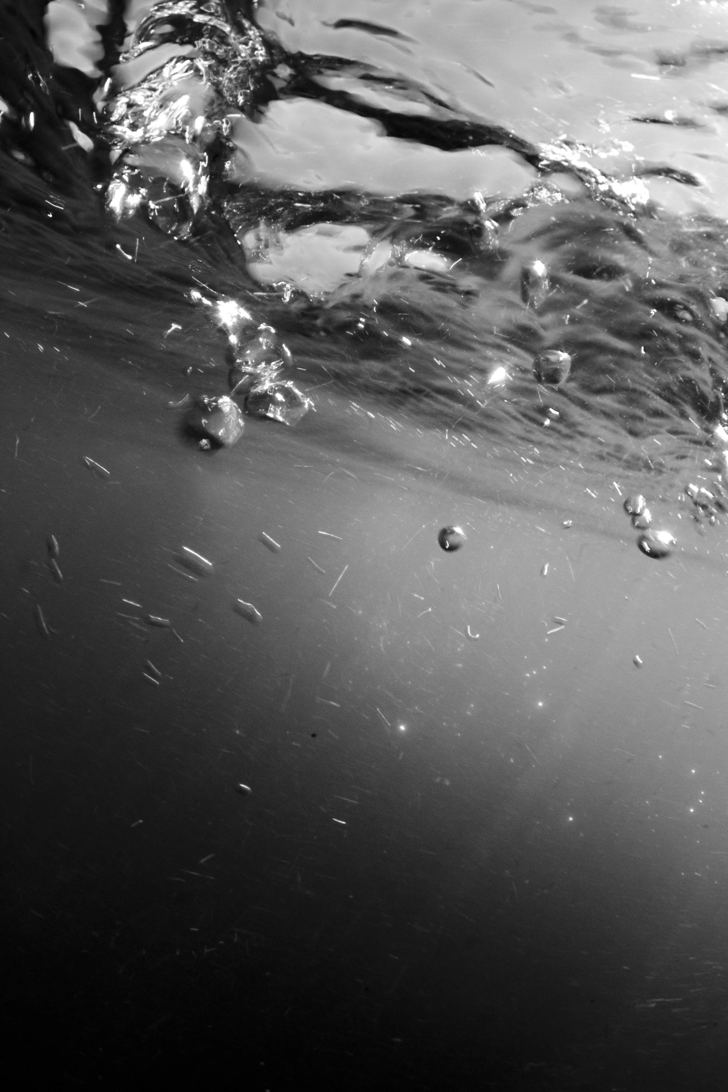 Whale bubbles. Baja, Mexico.