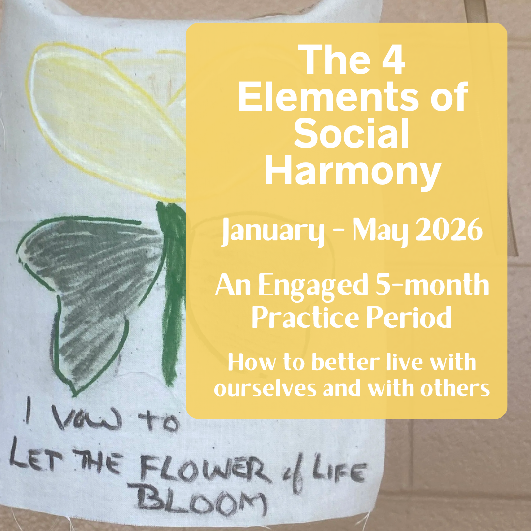 The 4 Elements of Social Harmony: 5-Month Engaged Practice Period (Online) 