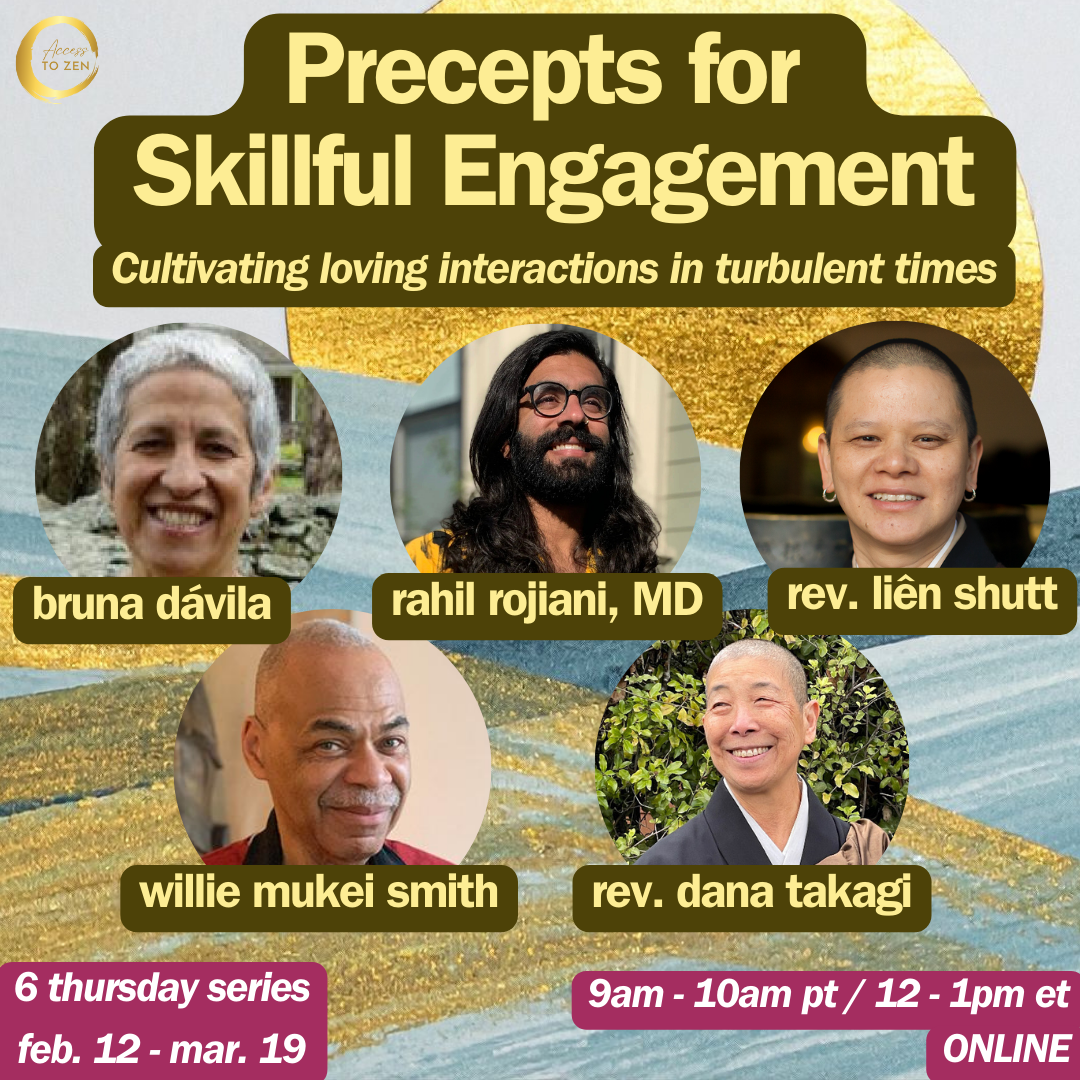Precepts for Skillful Engagement in Turbulent Times (Online)