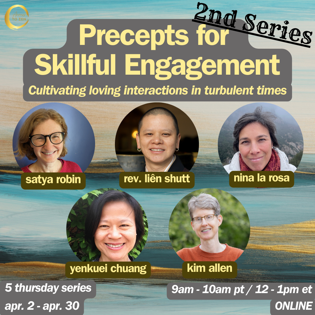 Precepts for Skillful Engagement in Turbulent Times: 2nd Series (Online)