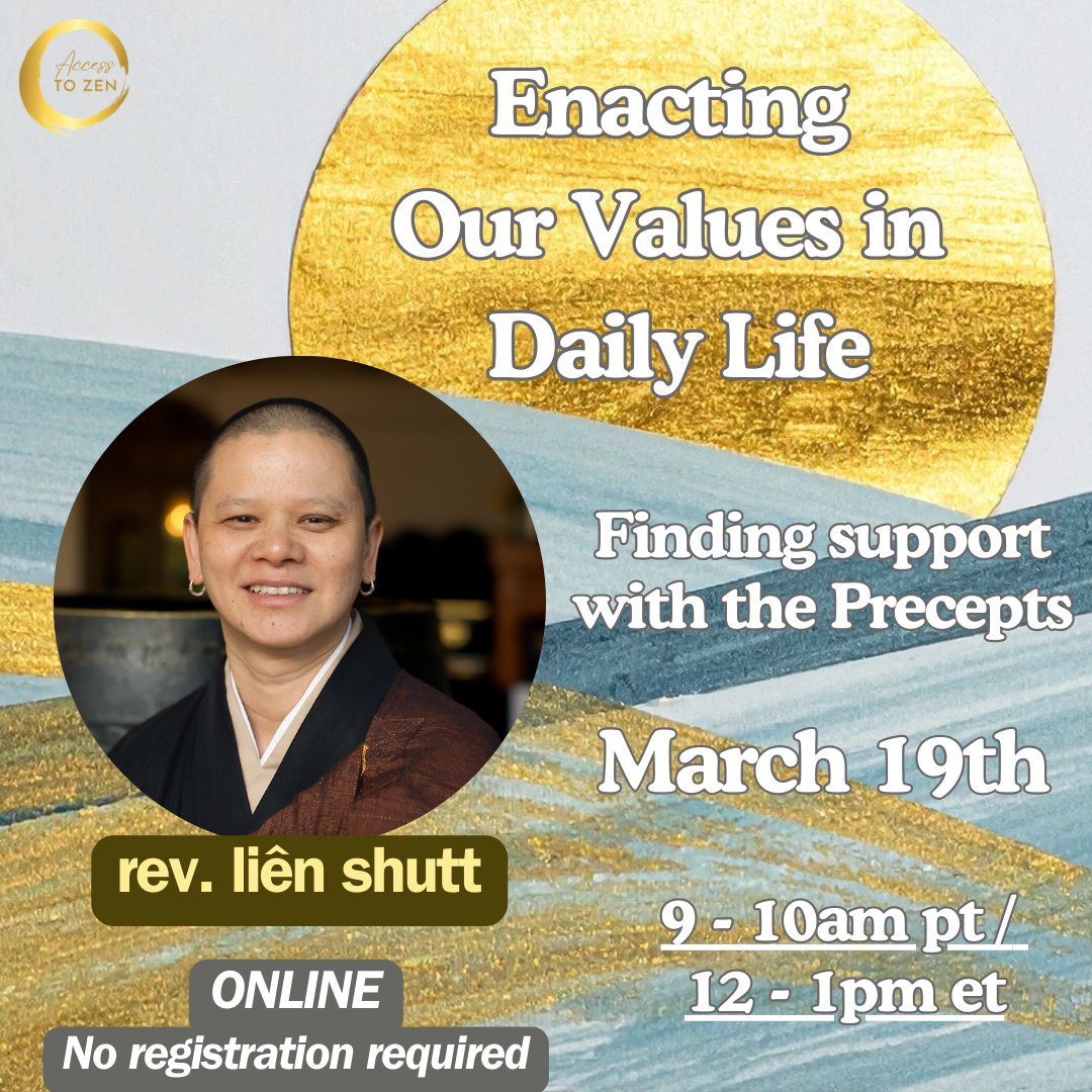 Enacting Our Values - Precepts for Skillful Engagement in Turbulent Times (Online)