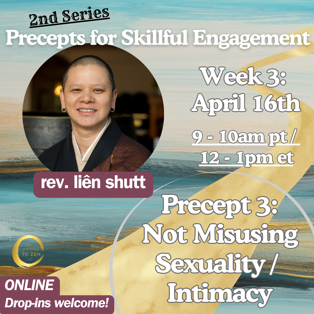 Series 2, Precept No. 3 - Precepts for Skillful Engagement in Turbulent Times (Online)