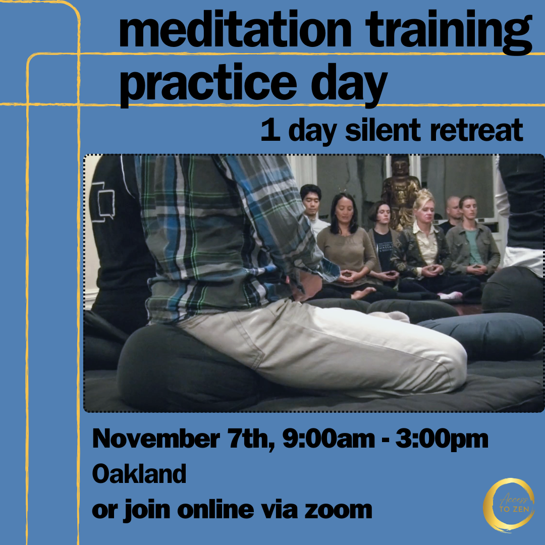 Meditation Training Practice Day: 1-Day Retreat (Hybrid)