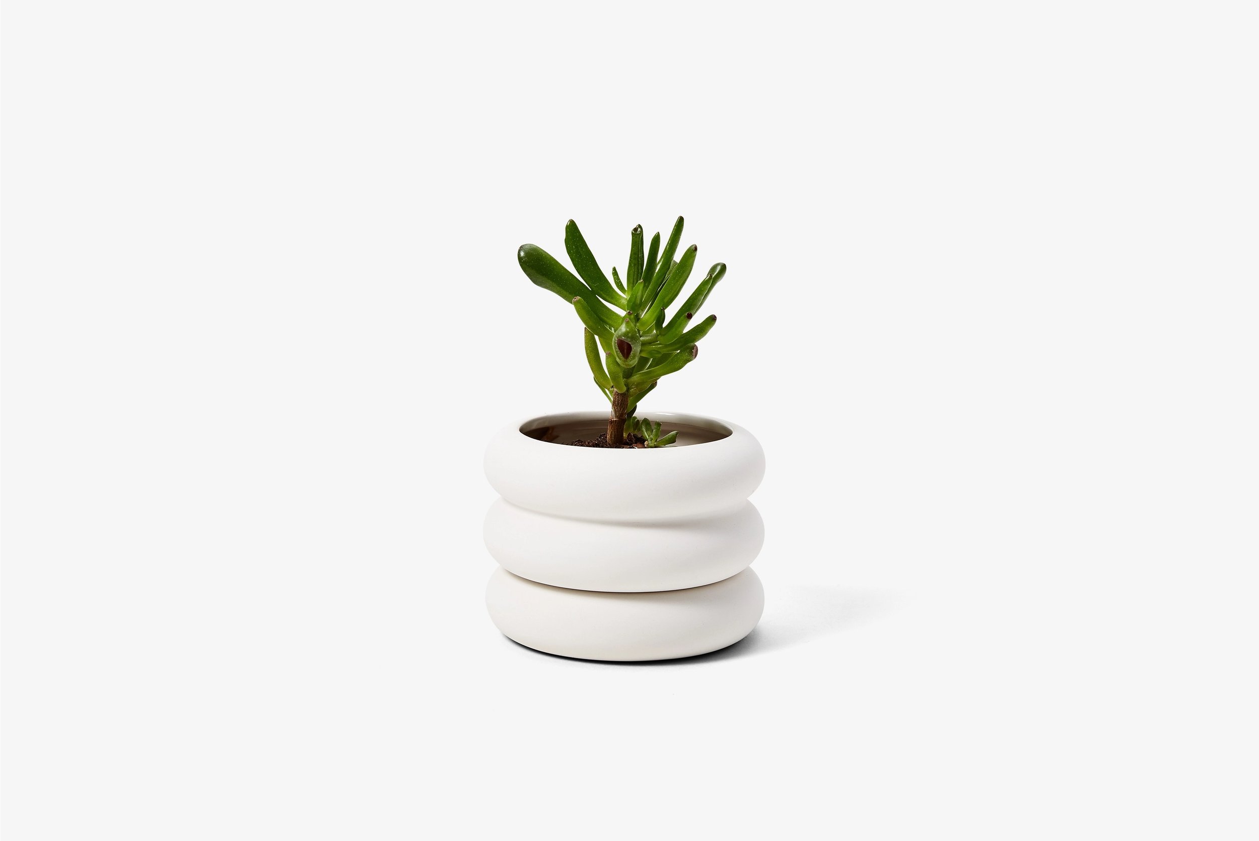 Stacking Planter Mini _ short 1.jpeg