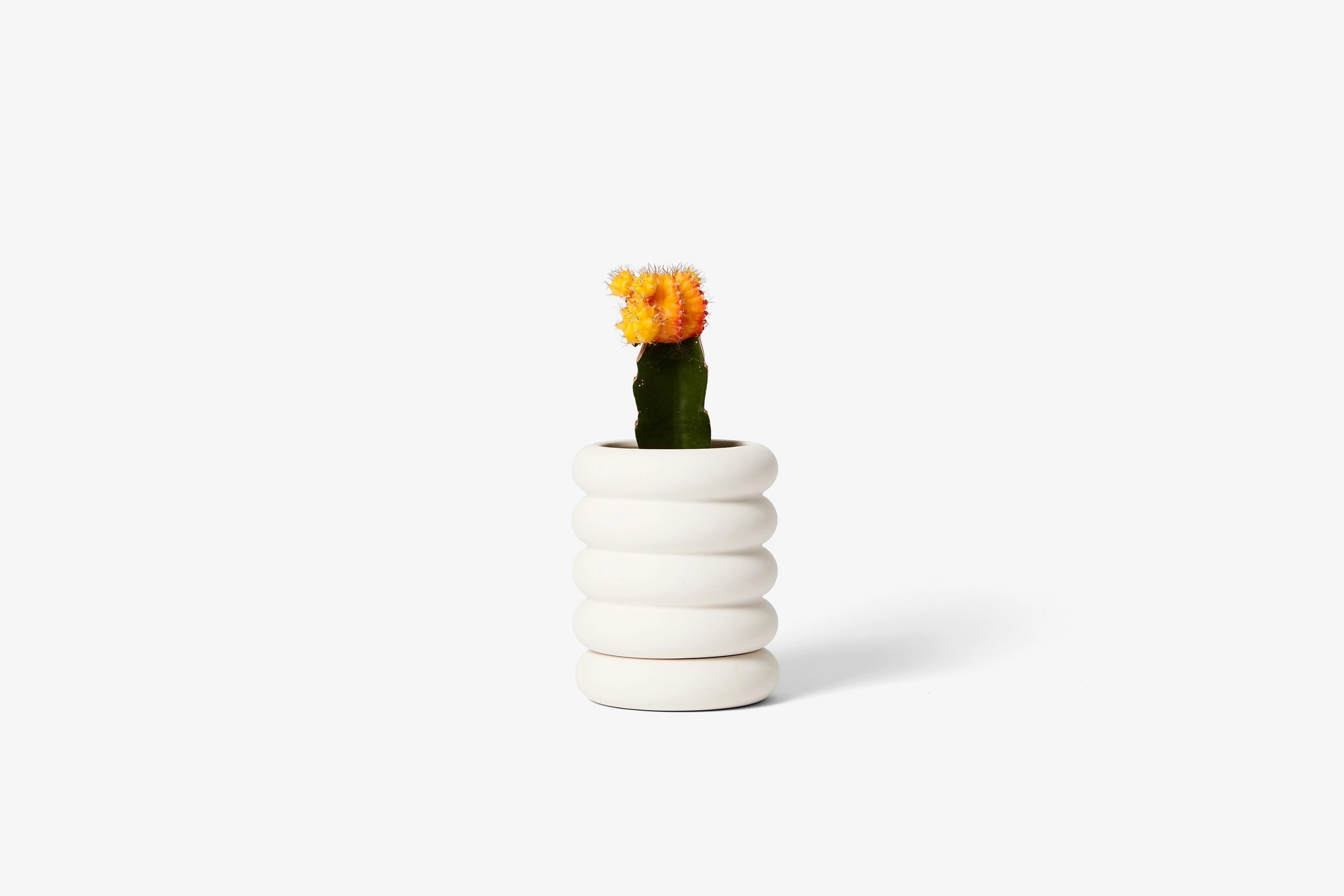 Stacking Planter Mini _ tall 1.jpeg