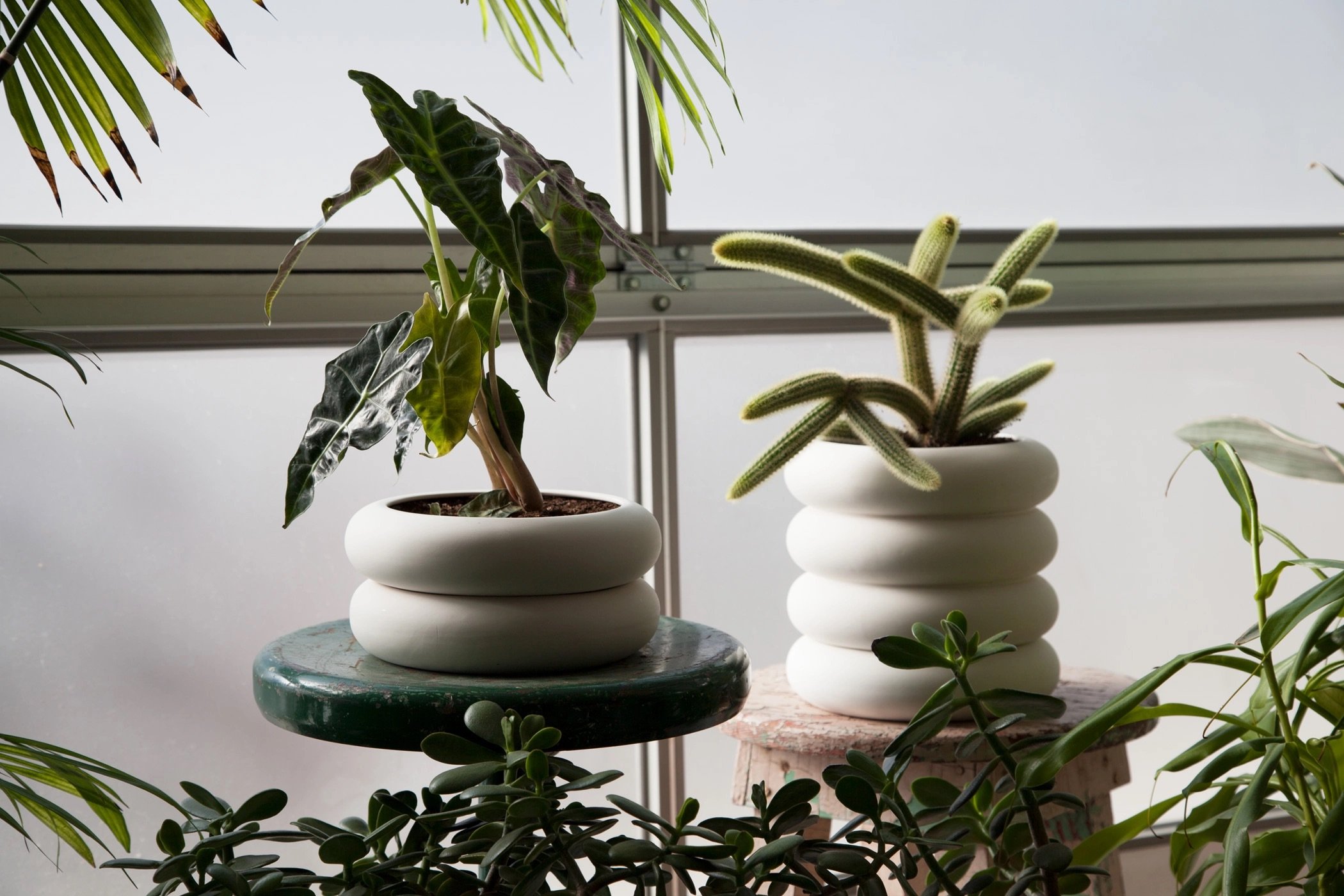 Stacking Planter 3.jpeg