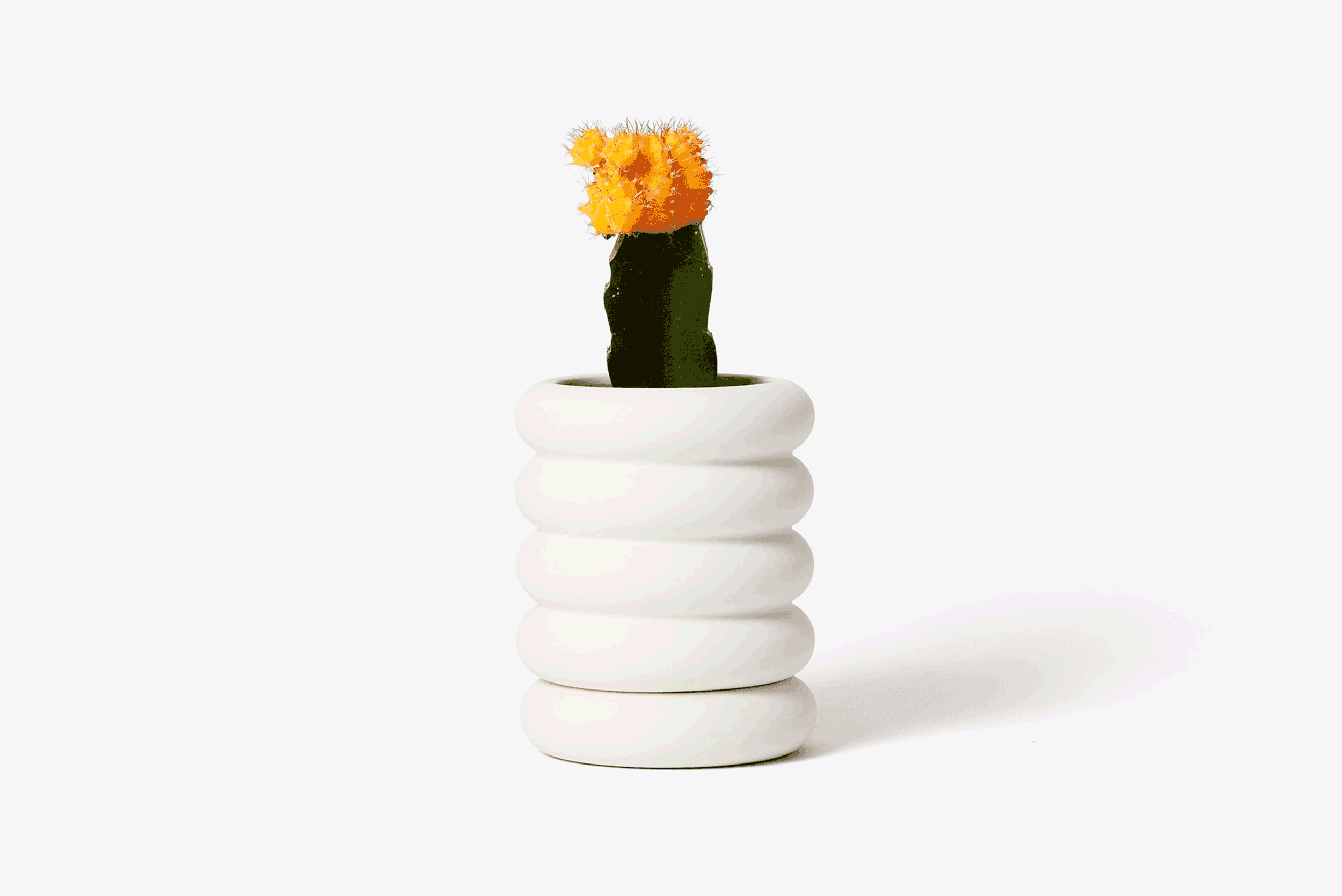 Stacking-Planter-Mini.gif