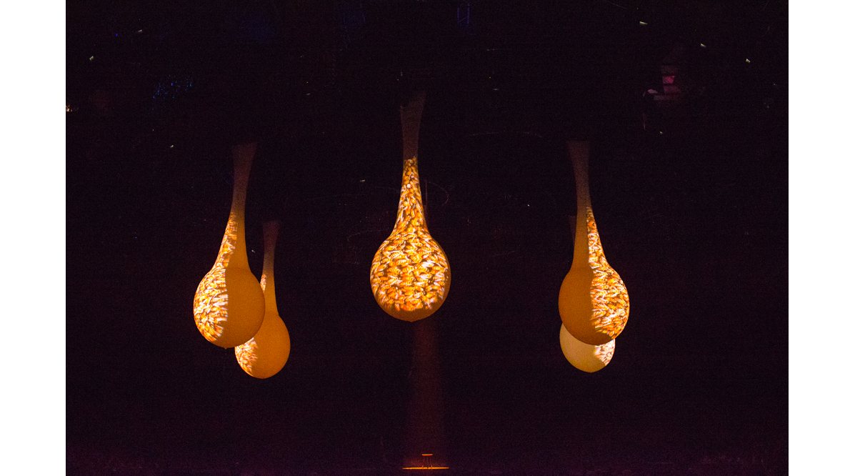 Screen Shot 2017-03-10 at 10.56.10 AM.png