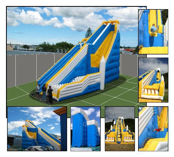 2006 - Award of Excellence