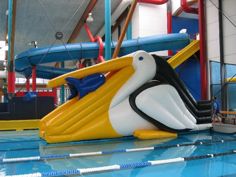 2005 - Award of Excellence