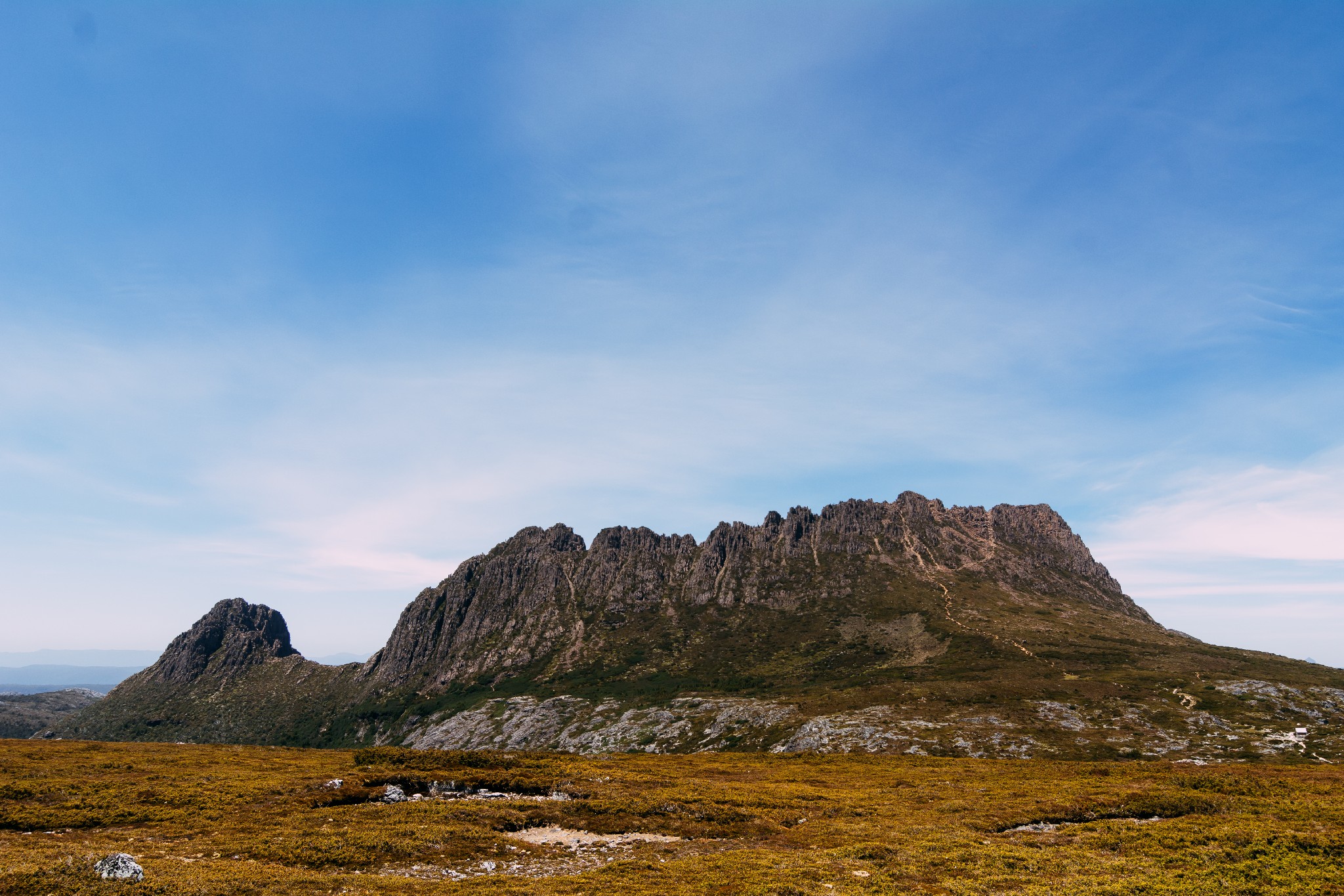 DSC_0814.jpg