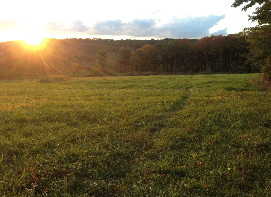 Autumn_lookbook_landscape3.jpg