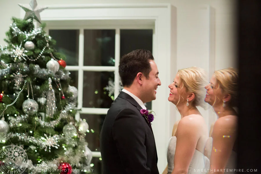 The Doctor's House Christmas Wedding