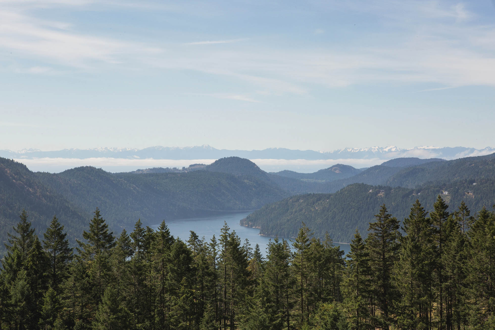 Vancouver Island.jpg