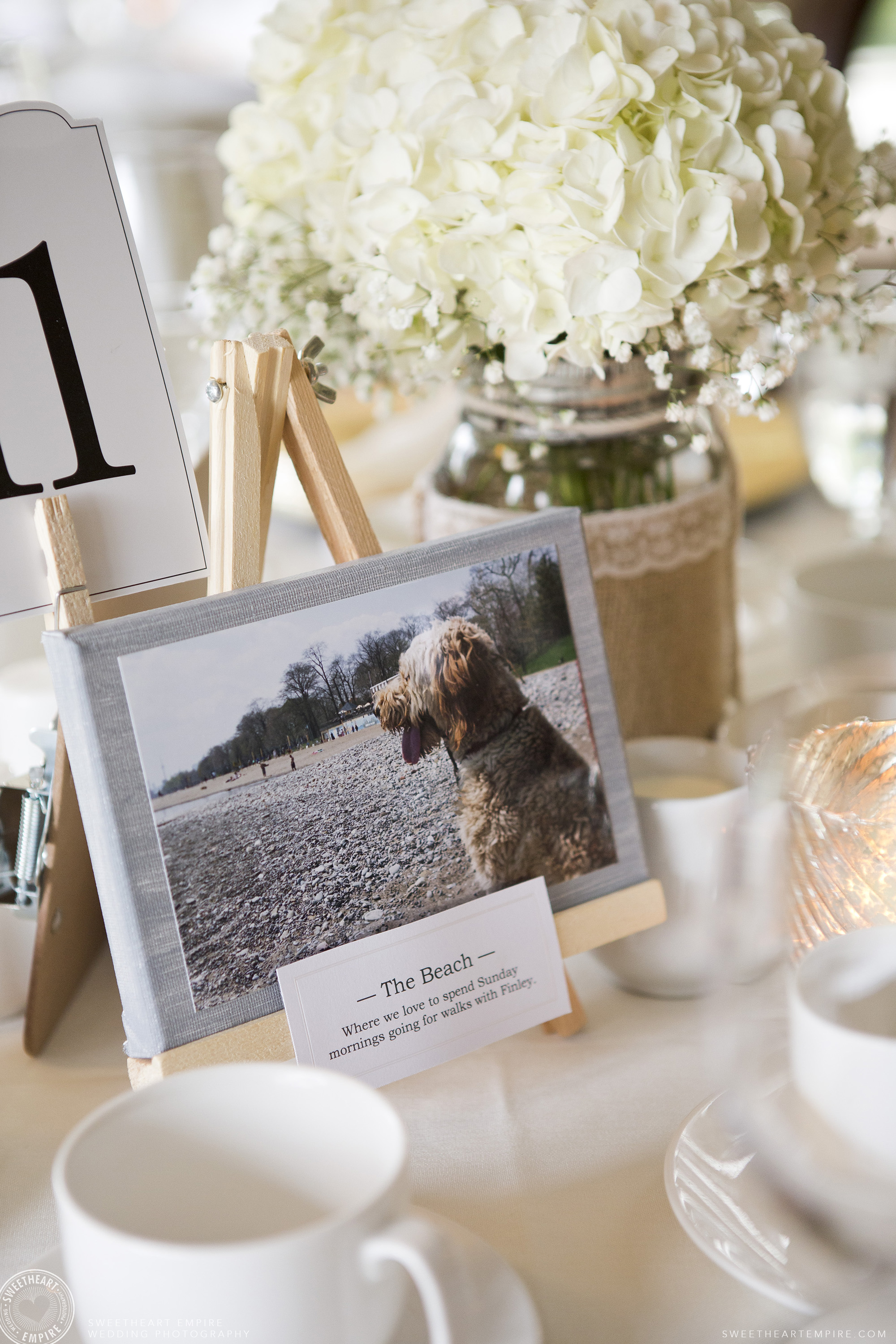 Picture of the bride and groom's dog, Oakville Golf Club Wedding