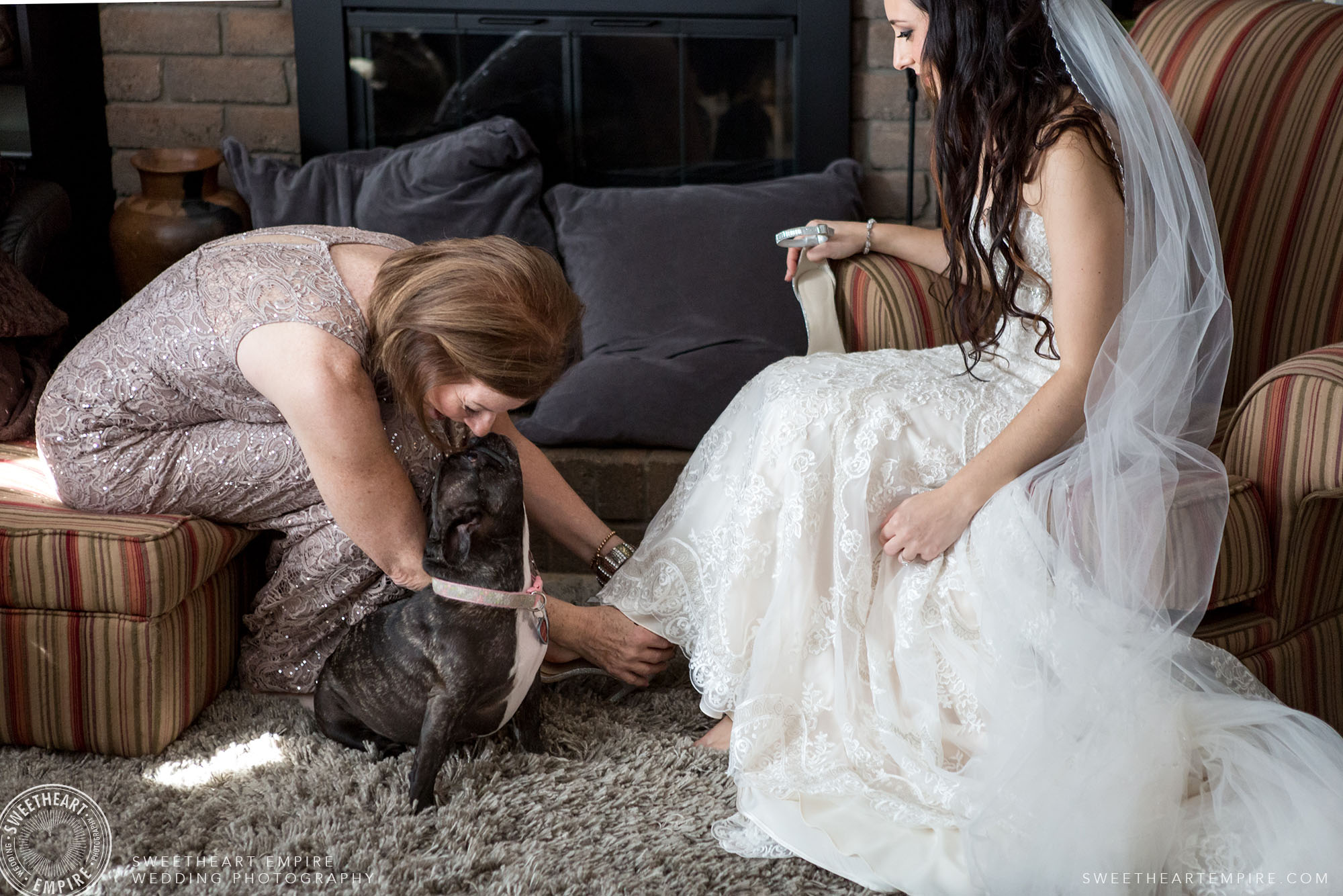 ...and who can forget our furry friends!