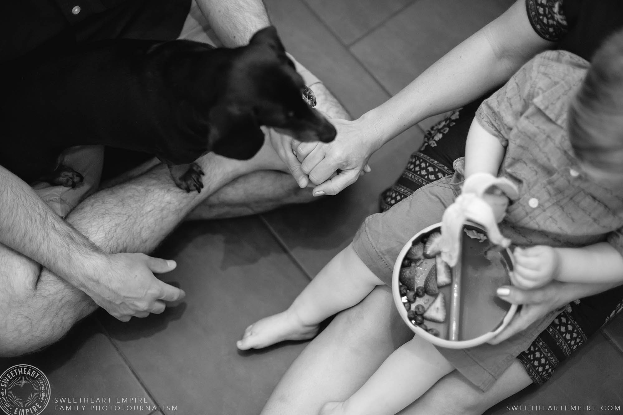 11_Parents still holding hands while toddler and dog concentrate on food.jpg