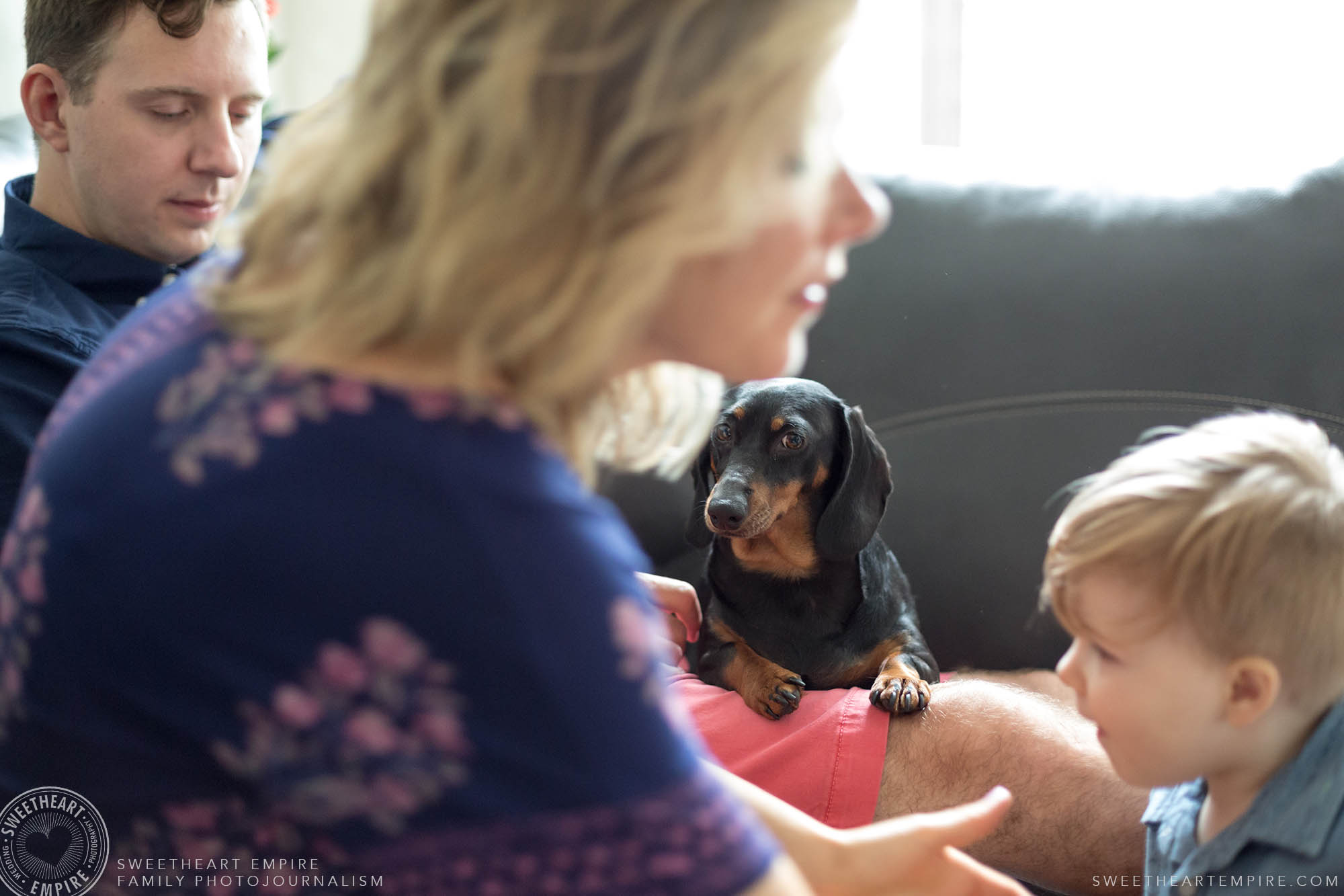 19_Miniature dachshun looks on while mom picks up son.jpg