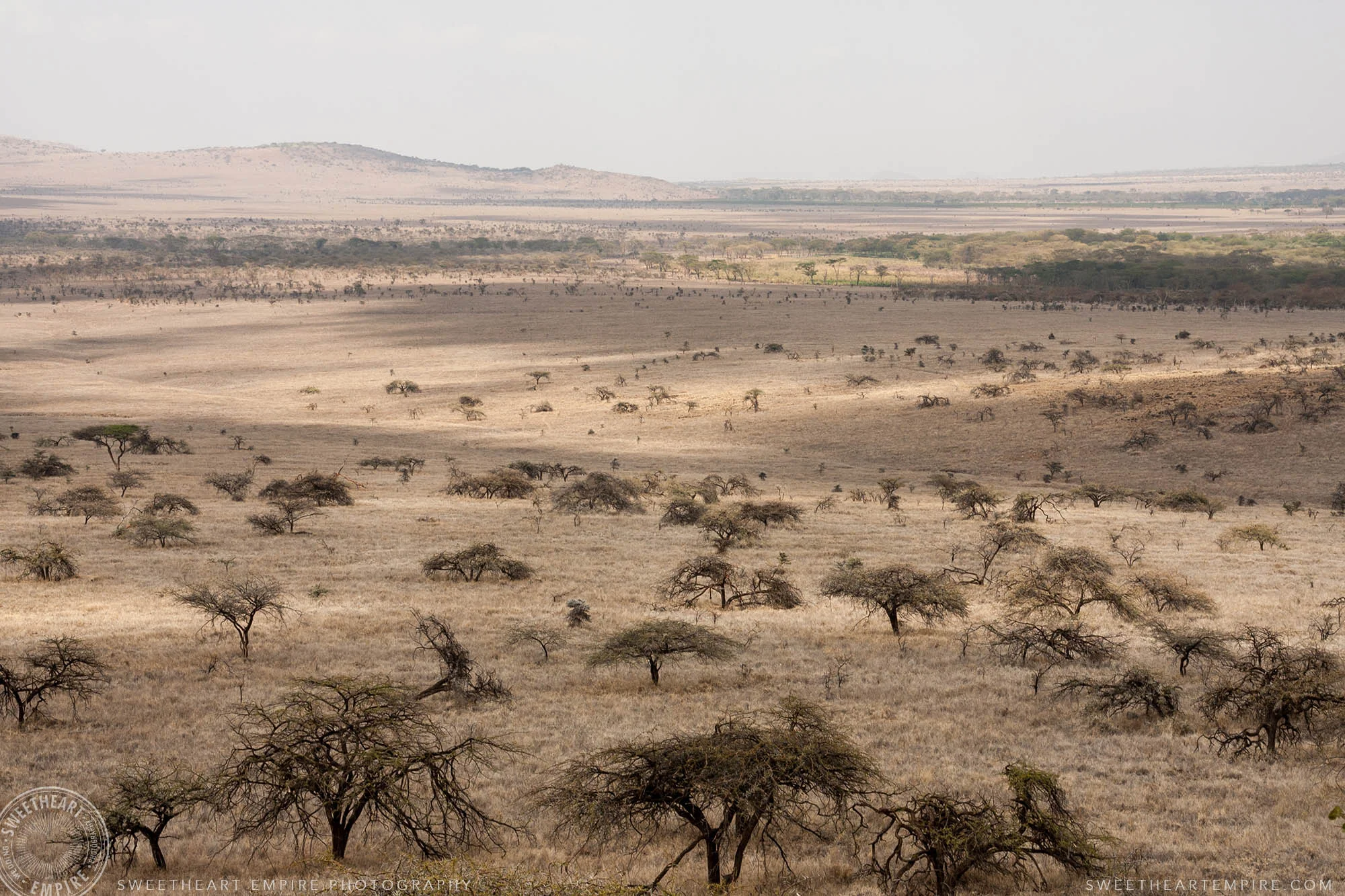 Looking across the savannah, at Lewa Wildlife Conservancy. One of the most challenging and transformative three months of my life. 