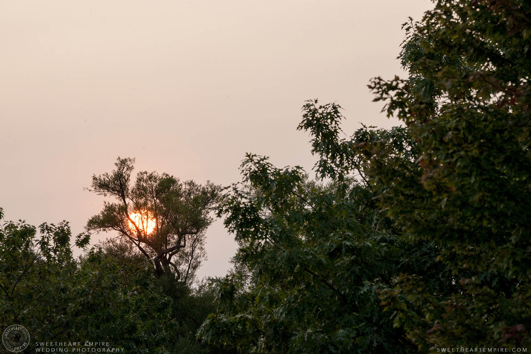 Sunset through the trees, Engagement Photos at Kew Gardens