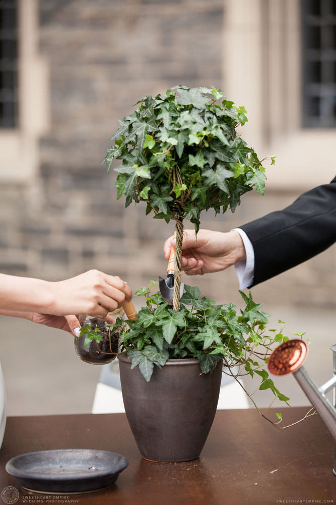 Bride and groom planting a tree during marriage ceremony, Hart House University of Toronto Wedding