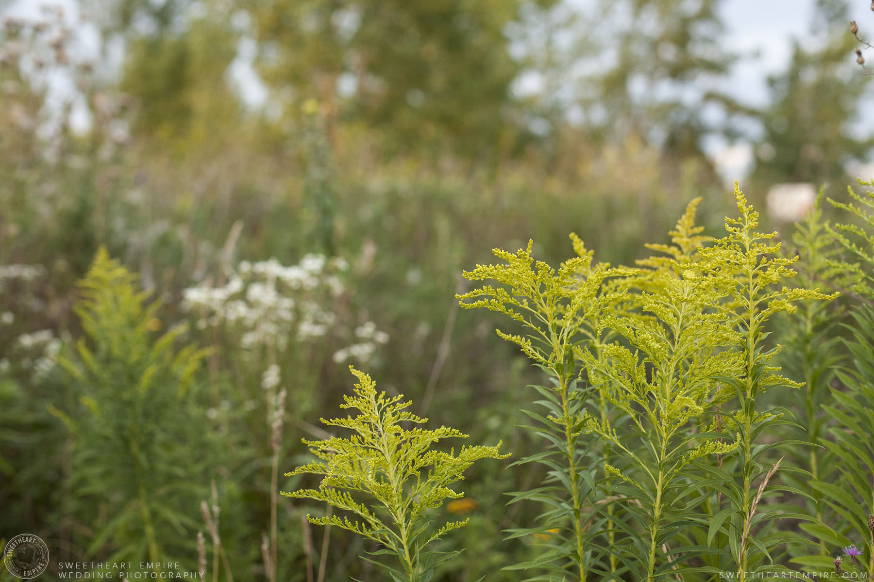 07_Leslie Spit Tommy Thompson Park.jpg