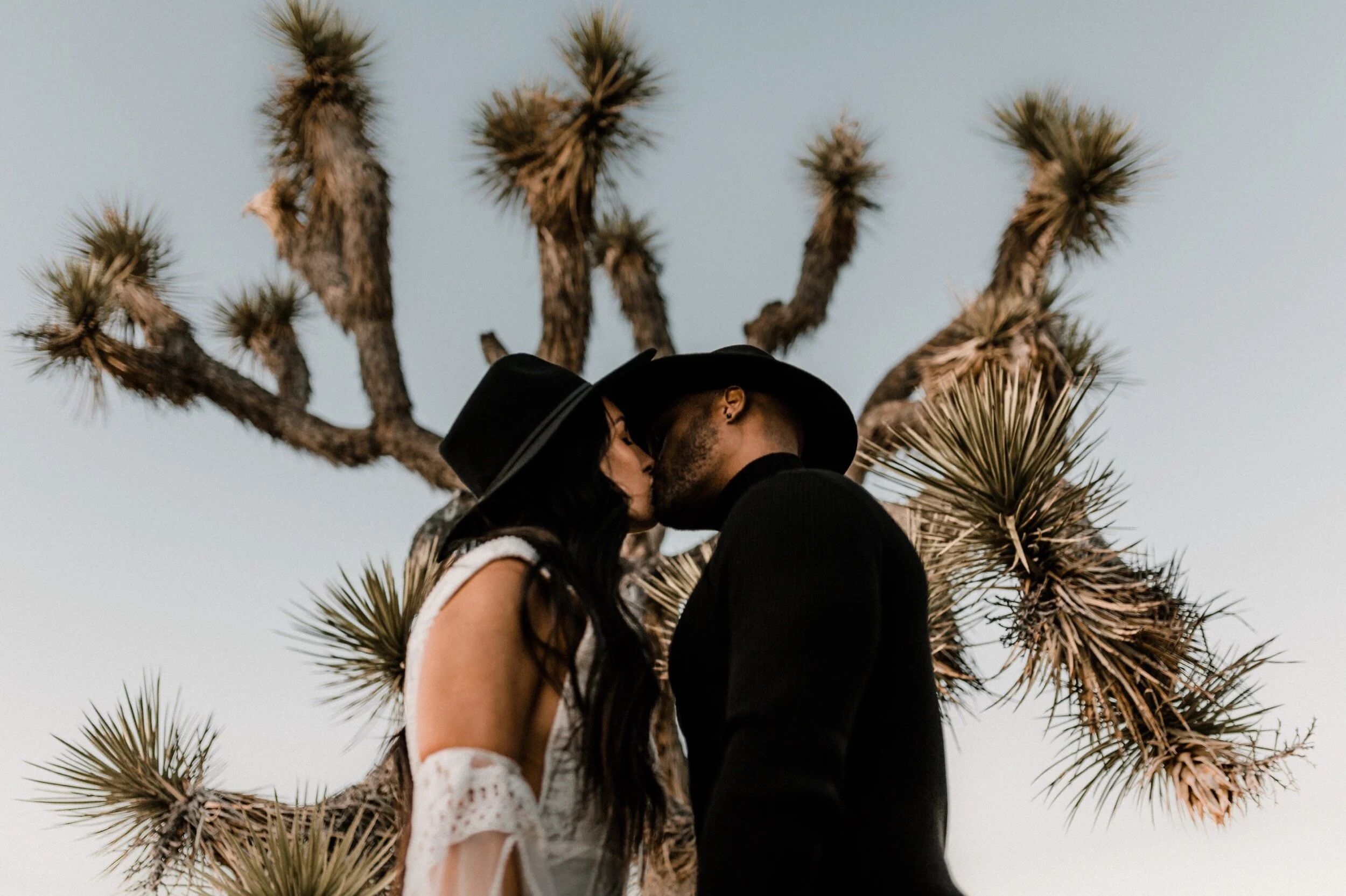 17_joshua-tree-elopement74.jpg