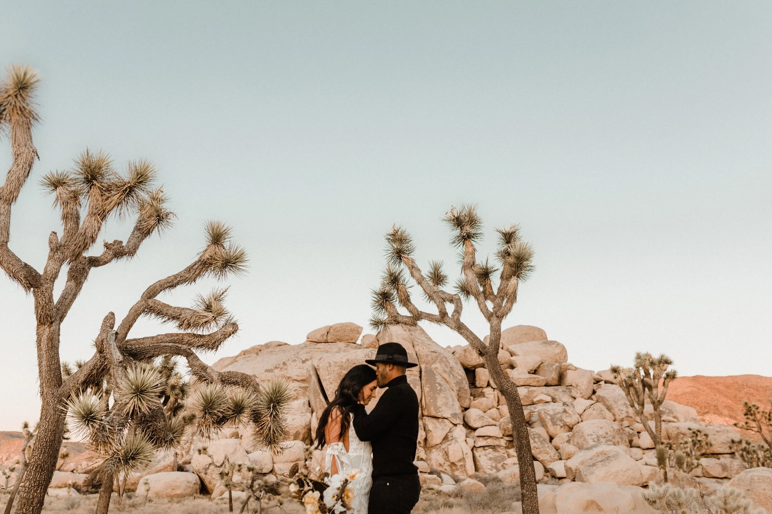 19_joshua-tree-elopement83.jpg