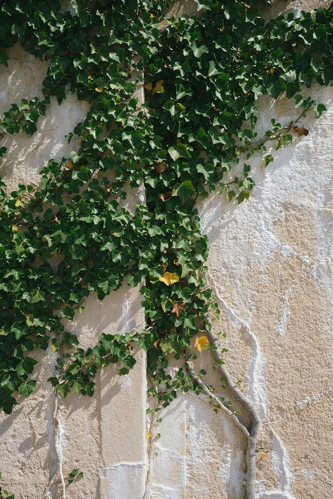 european inspired new york wedding venue